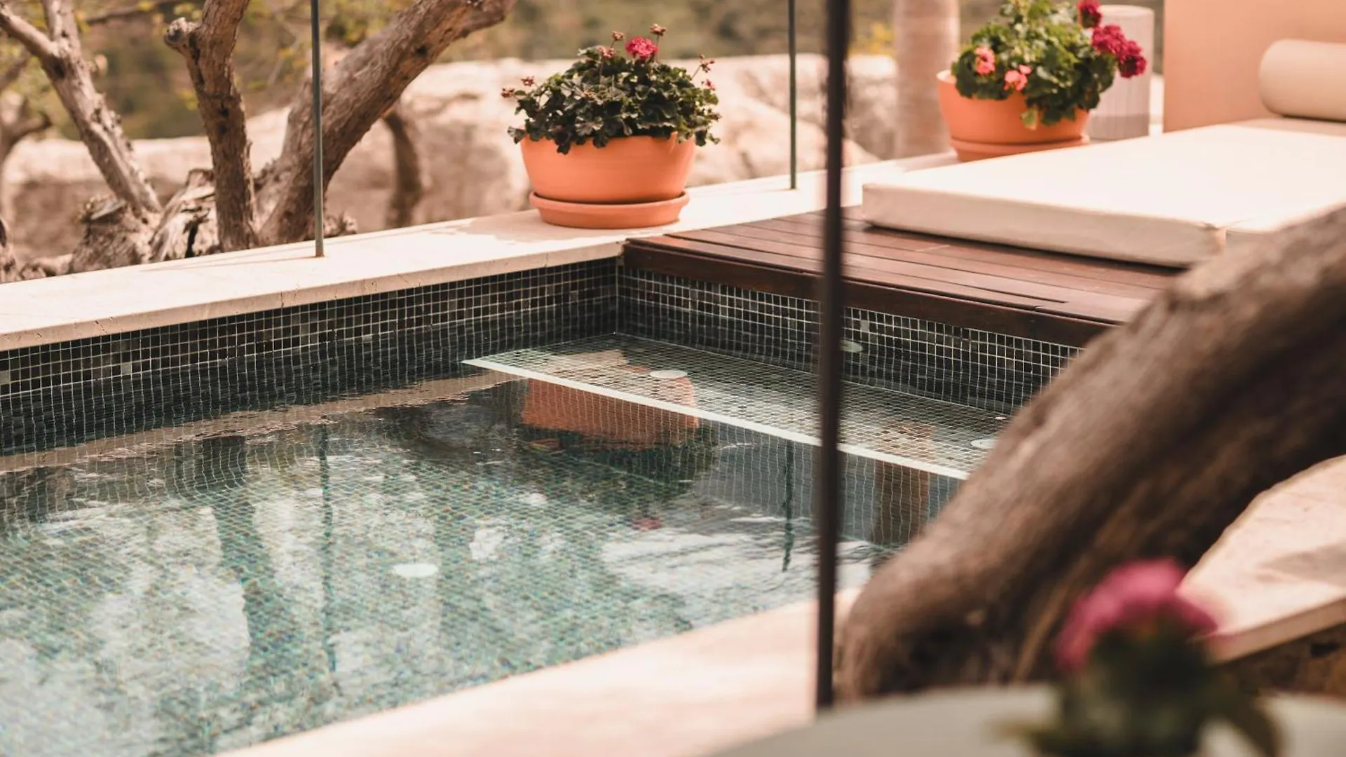 Sa Pedrissa Villa Deia Farm stay